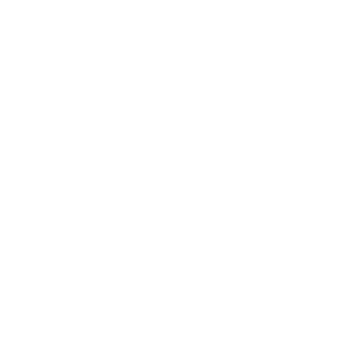 Logo Carl Zeiss AG